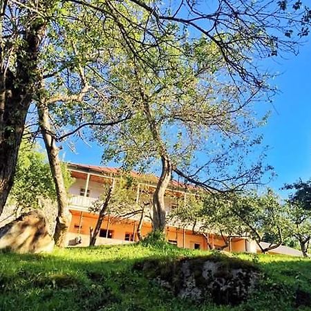 Mushkudiani Manor Hotel Mestia Luaran gambar