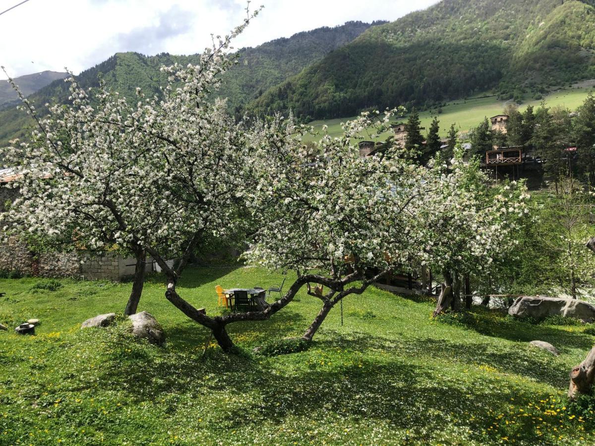 Mushkudiani Manor Hotel Mestia Luaran gambar